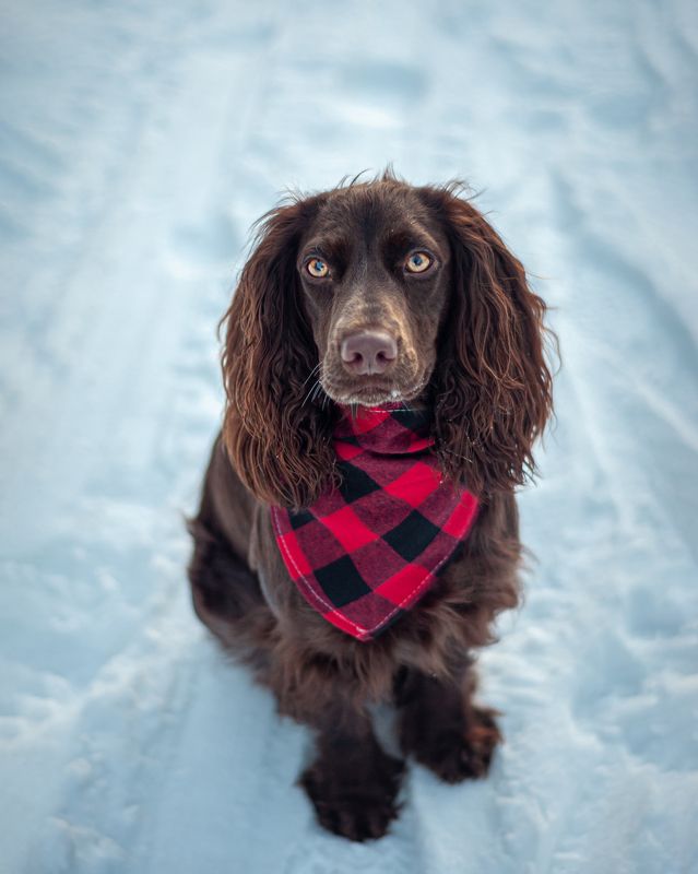 Айтиphoto preview