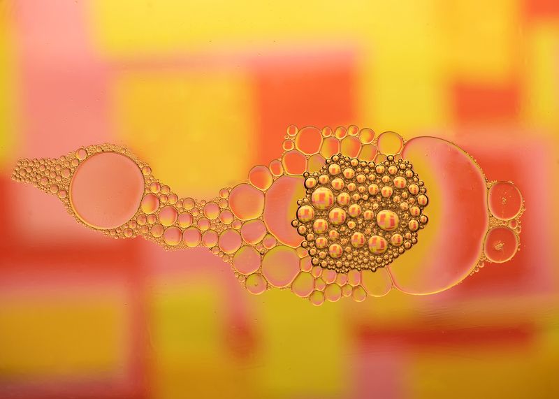 closeup,liquid,art,oil,water,abstract,drop liquid Paramecium.photo preview