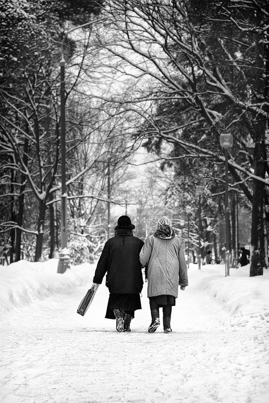 чб фото, уличная фотография, зима, парк В зимнем паркеphoto preview