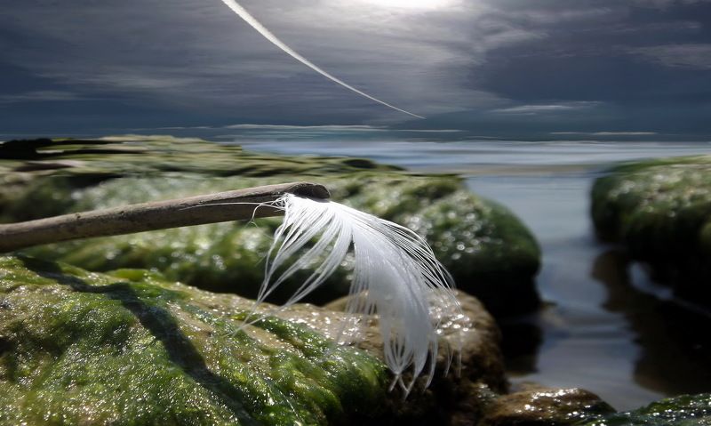 одесса ХАДЖИБЕЙphoto preview