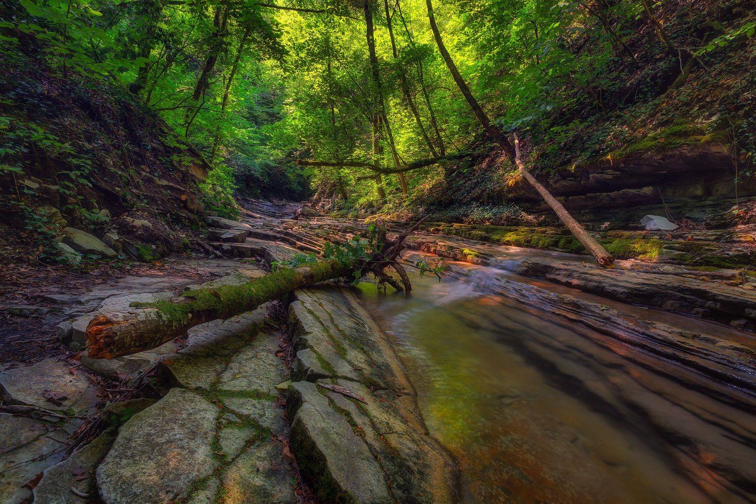 По дороге к Пшадскому водопаду. Автор: Александр Аседач , Александр Аседач