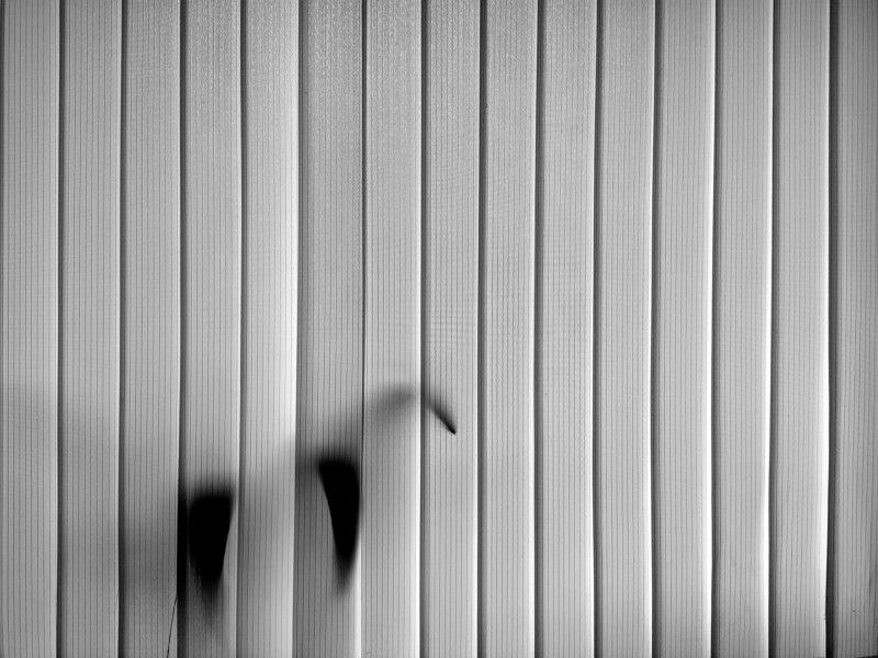 abstract, abstraction, b&w, shadow, , art, ч/б, абстракция, тень, shadow on window Shadowphoto preview