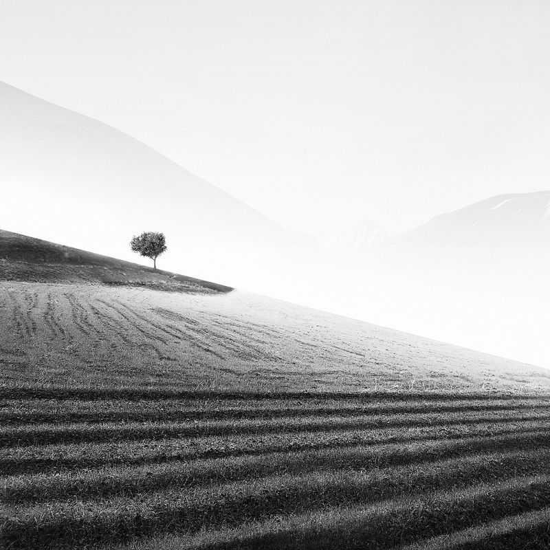 Scratchedphoto preview