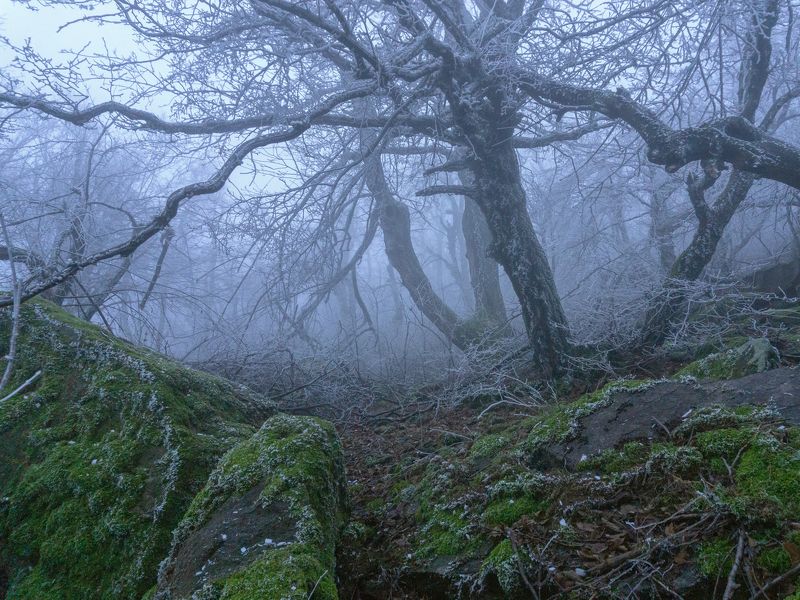 Вечером под Развалкойphoto preview