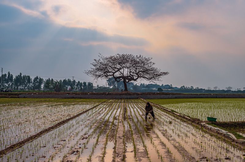 working on the fieldphoto preview