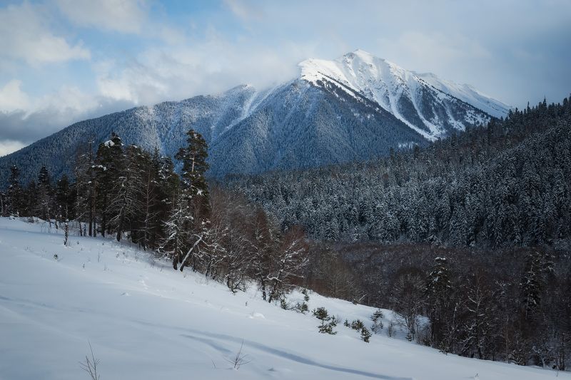 arkhyz, landscape, snow, landscape, frozen, frost, nature, mountains, forest, pine, glacier, Arkhyz mountains.photo preview
