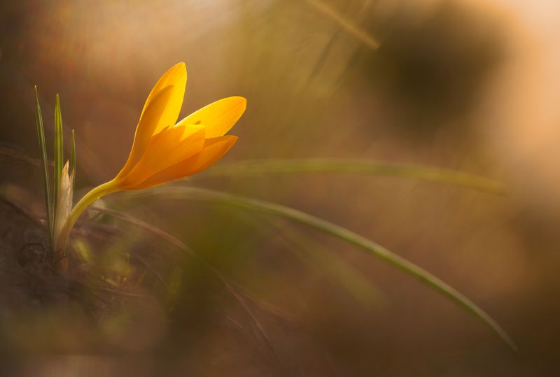 Small world wondersphoto preview