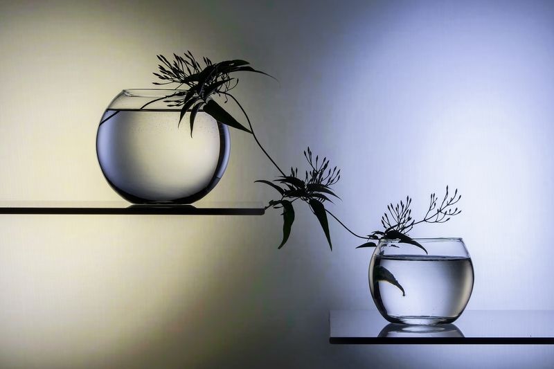 Oro y plataphoto preview