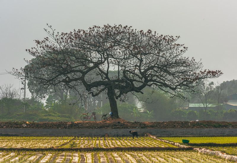 working on the fieldphoto preview