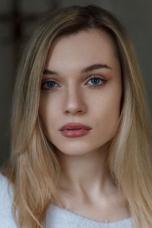 Теди фото превью