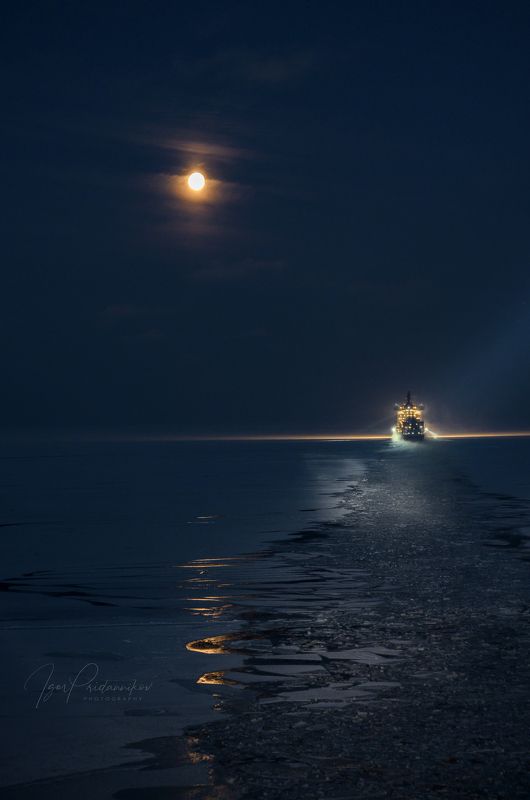 Полуночный бродяга фото превью