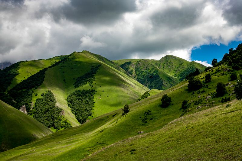 Изумрудные склоныphoto preview