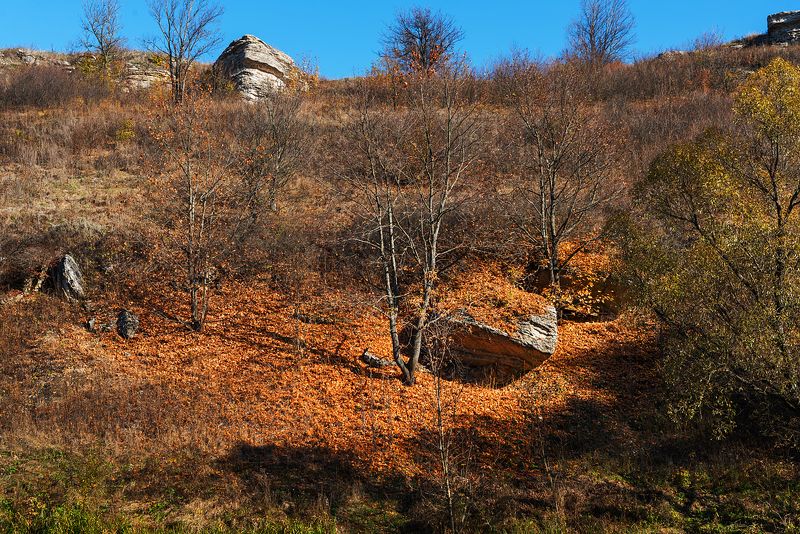 Воргол осеньюphoto preview