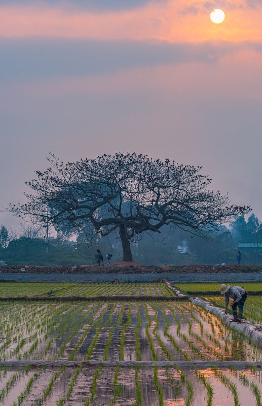 working on the fieldphoto preview