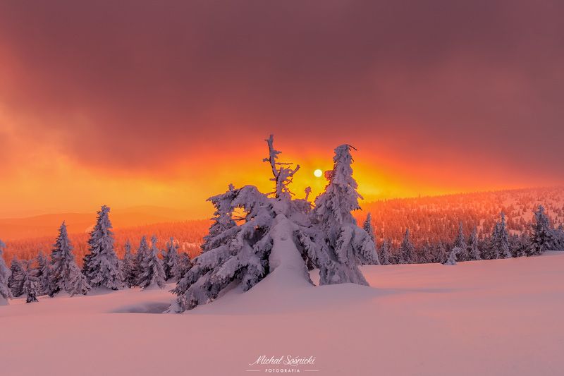 #tree #winter #sunset #sky #wood #nature #amazing #earth #pics #photo #best #poland #pentax #benro #haida Magic sunset...photo preview