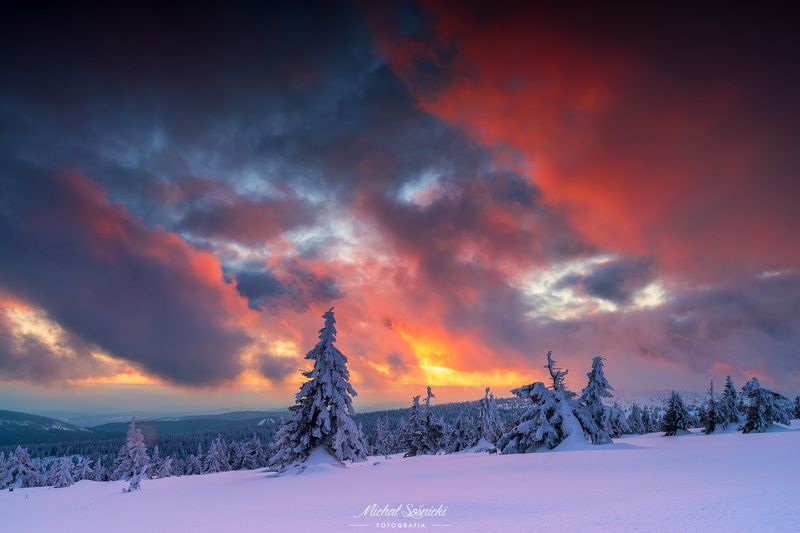 #tree #winter #sunset #sky #wood #nature #amazing #earth #pics #photo #best #poland #pentax #benro #haida Sunset..photo preview