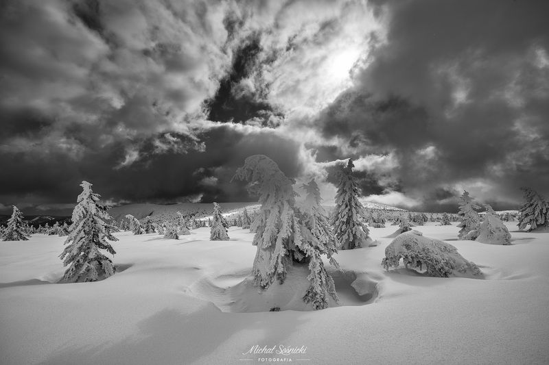 #tree #winter #sunset #sky #wood #nature #amazing #earth #pics #photo #best #poland #pentax #benro #haida B&w...photo preview