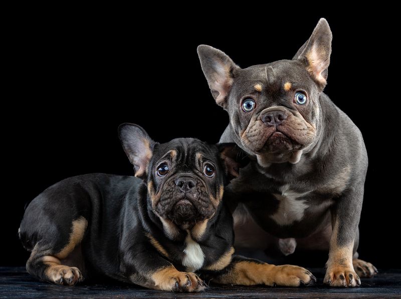 Птичка где?photo preview