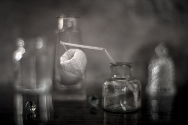 натюрморт, физалис ***photo preview