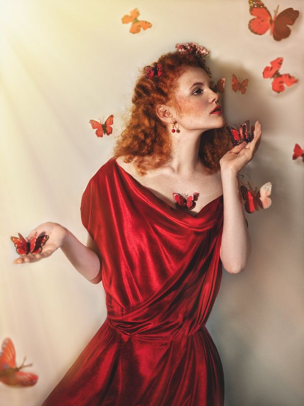 Butterflyphoto preview