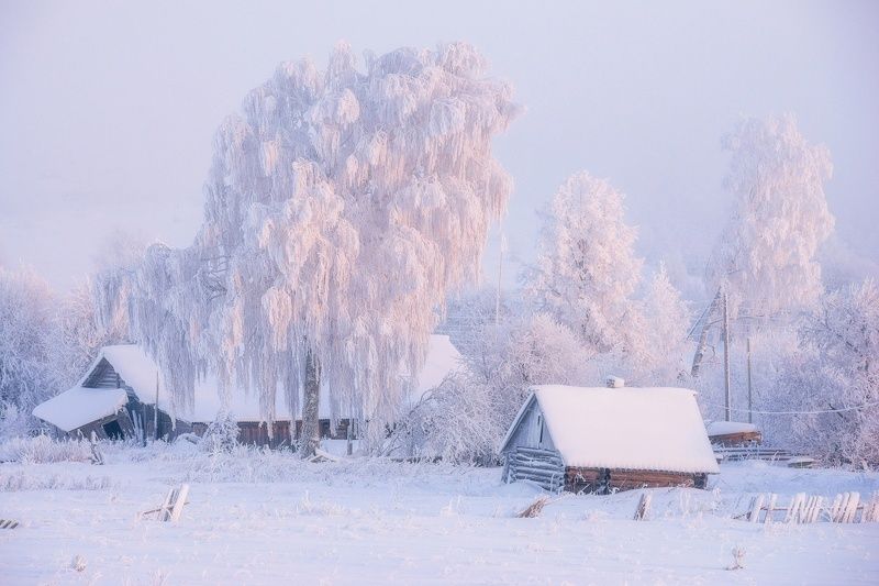 В розовых красках морозного рассветаphoto preview
