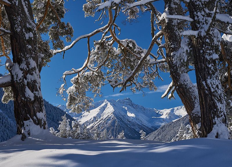 У подножия хребтов Архызаphoto preview