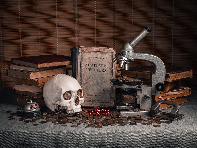 череп, копейки, анатомия Анатомия человека в сутиphoto preview