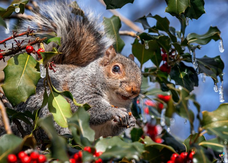 Februaryphoto preview