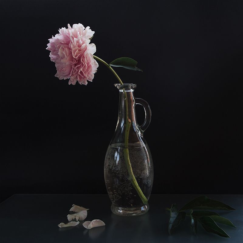 Пионphoto preview