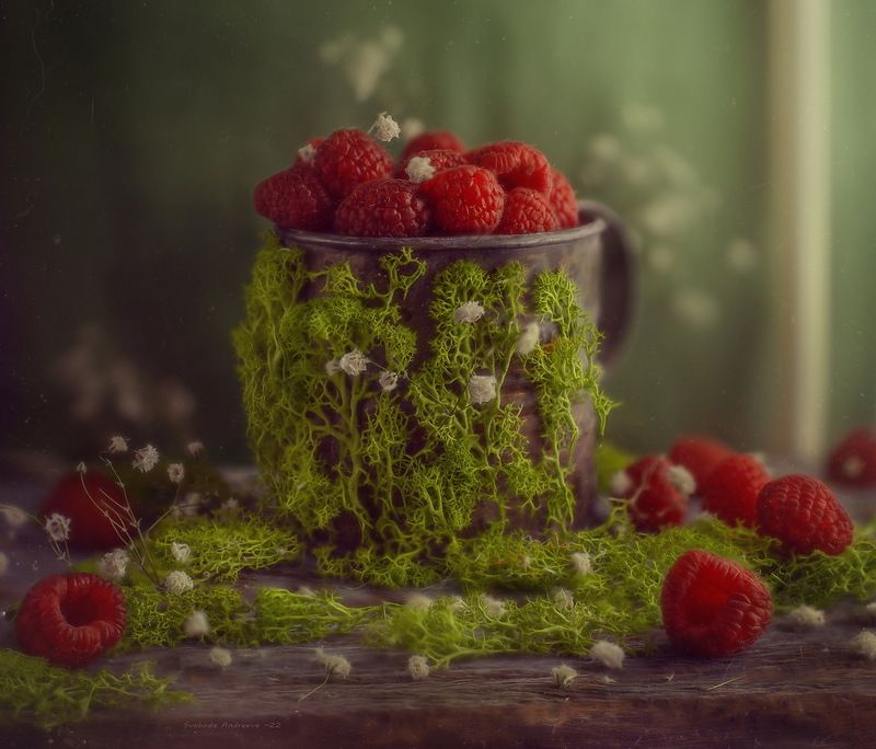 во мху*photo preview