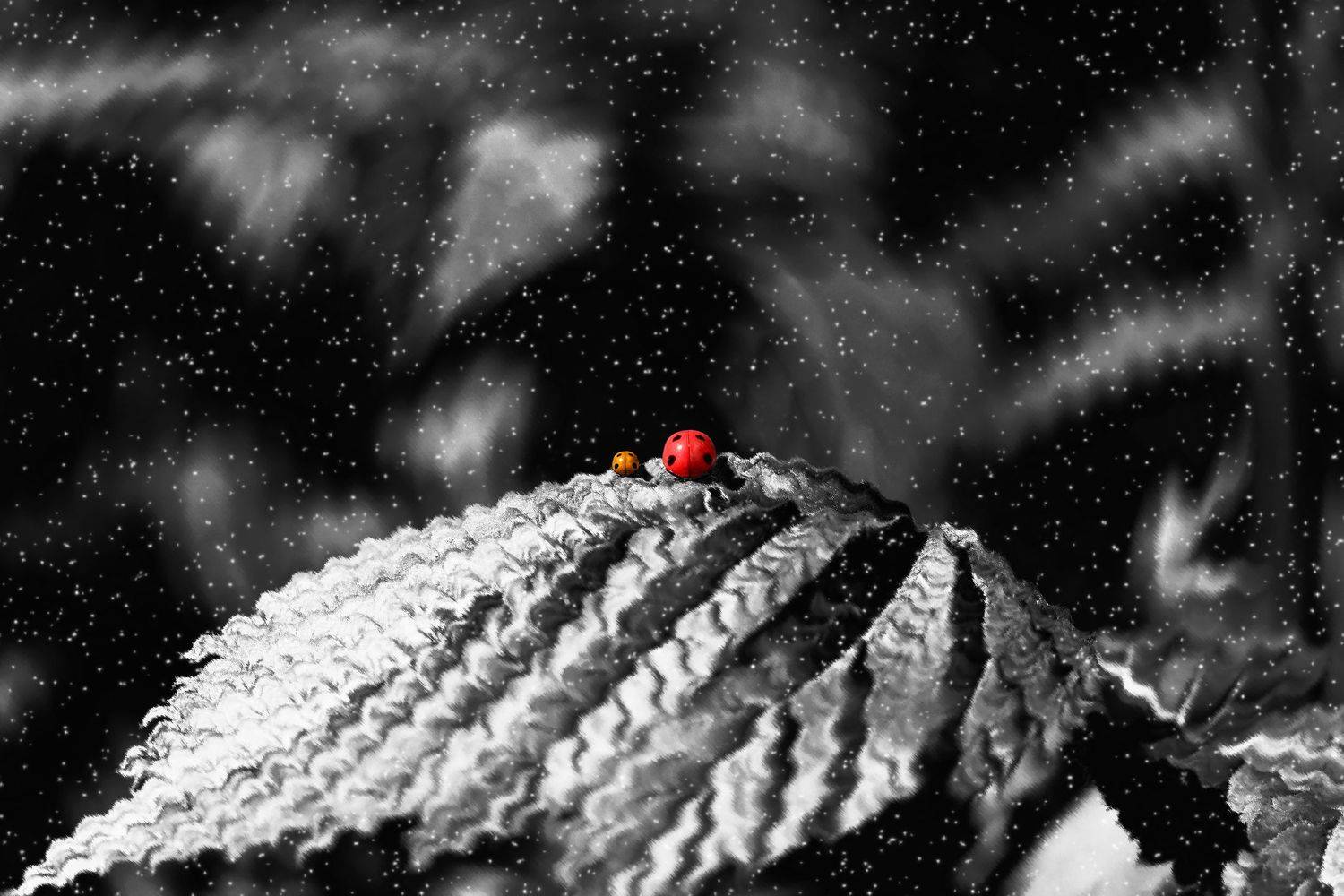 креатив, концепция, коллаж, creative, conceptual, collage, fineart, changes, way, путь, Дмитрий Салтыков