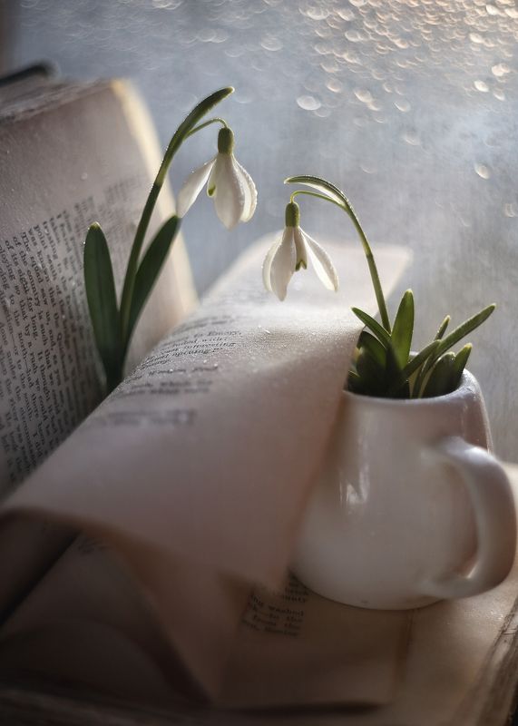 весна,раздумья, цвет времени, мысли,весеннее ,беларусь, гелиос-44 кмз (13 лепестков) Разговор по душам.. фото превью