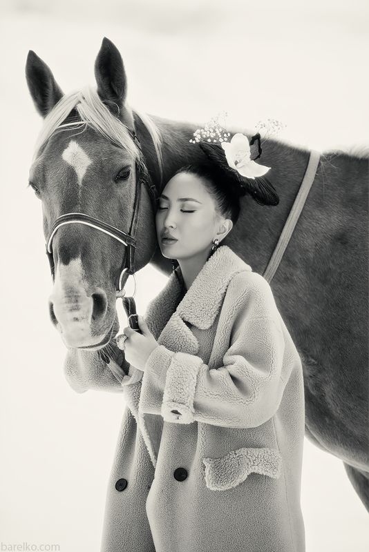 horse, model, asian, beauty, portrait 2 orchidsphoto preview