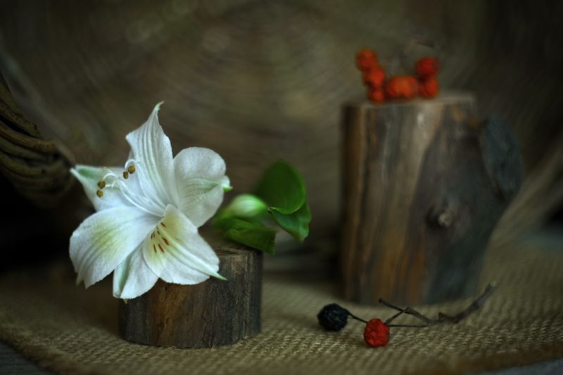 натюрморт ***photo preview