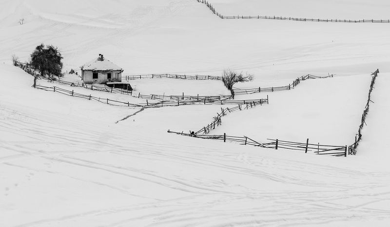 winter Winterphoto preview