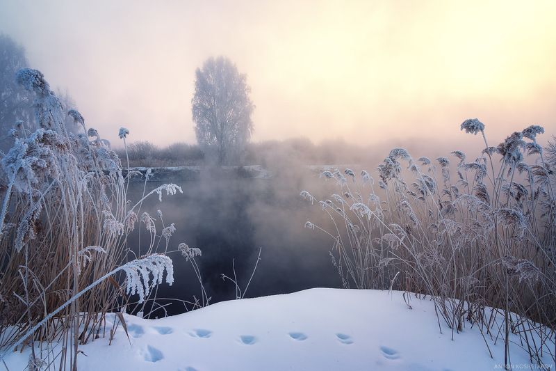 на рассветеphoto preview