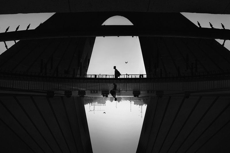 Morning Fogphoto preview