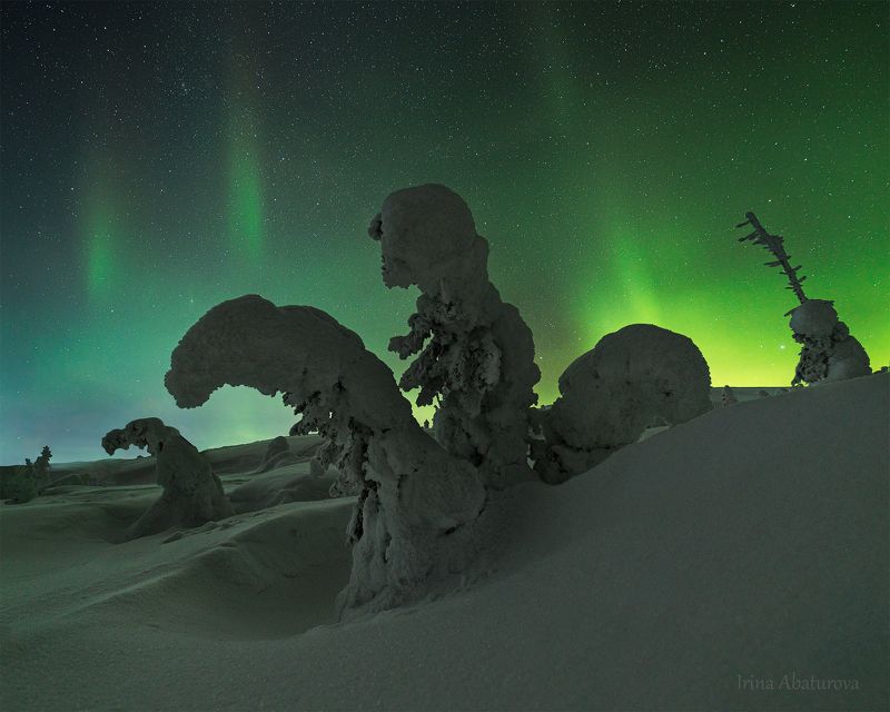 кольский , зима , сияние, аврора, снег, северное сияние, сугроб, зимние деревья Космос близкоphoto preview