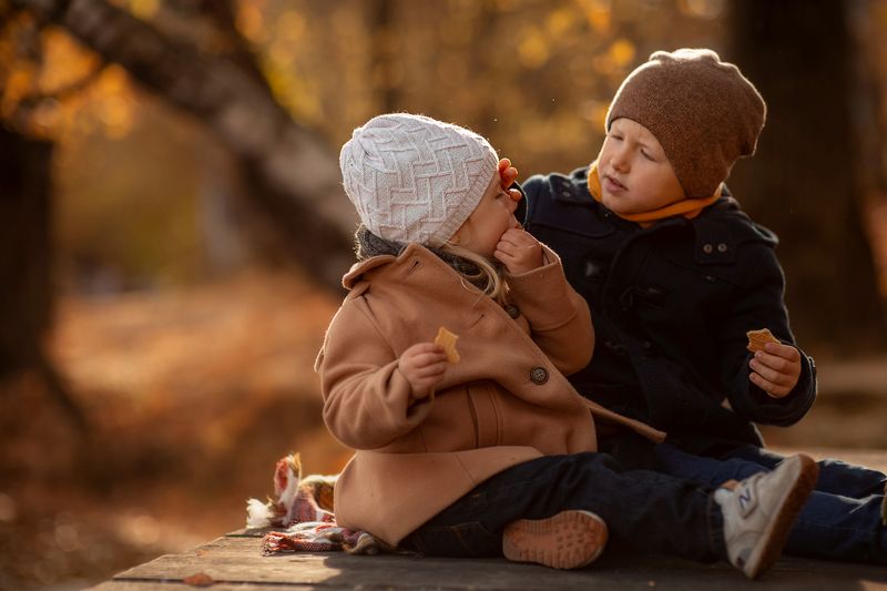 дружба, осень, дети, пикник, забота, брат, сестра, семья Пикникphoto preview