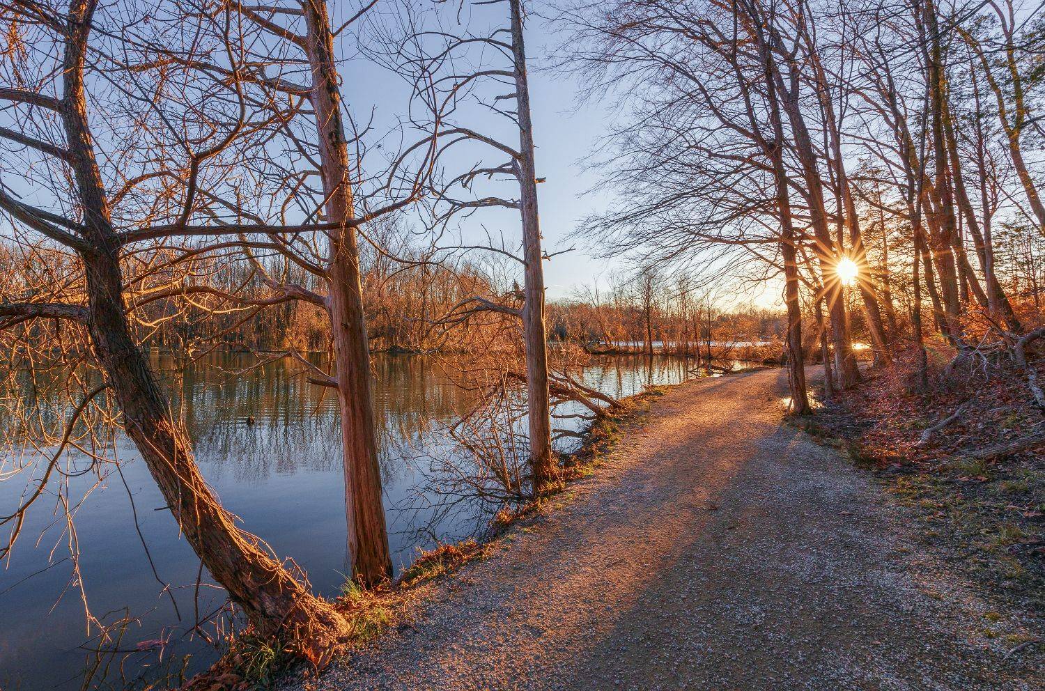 , Леонид Дьяченко