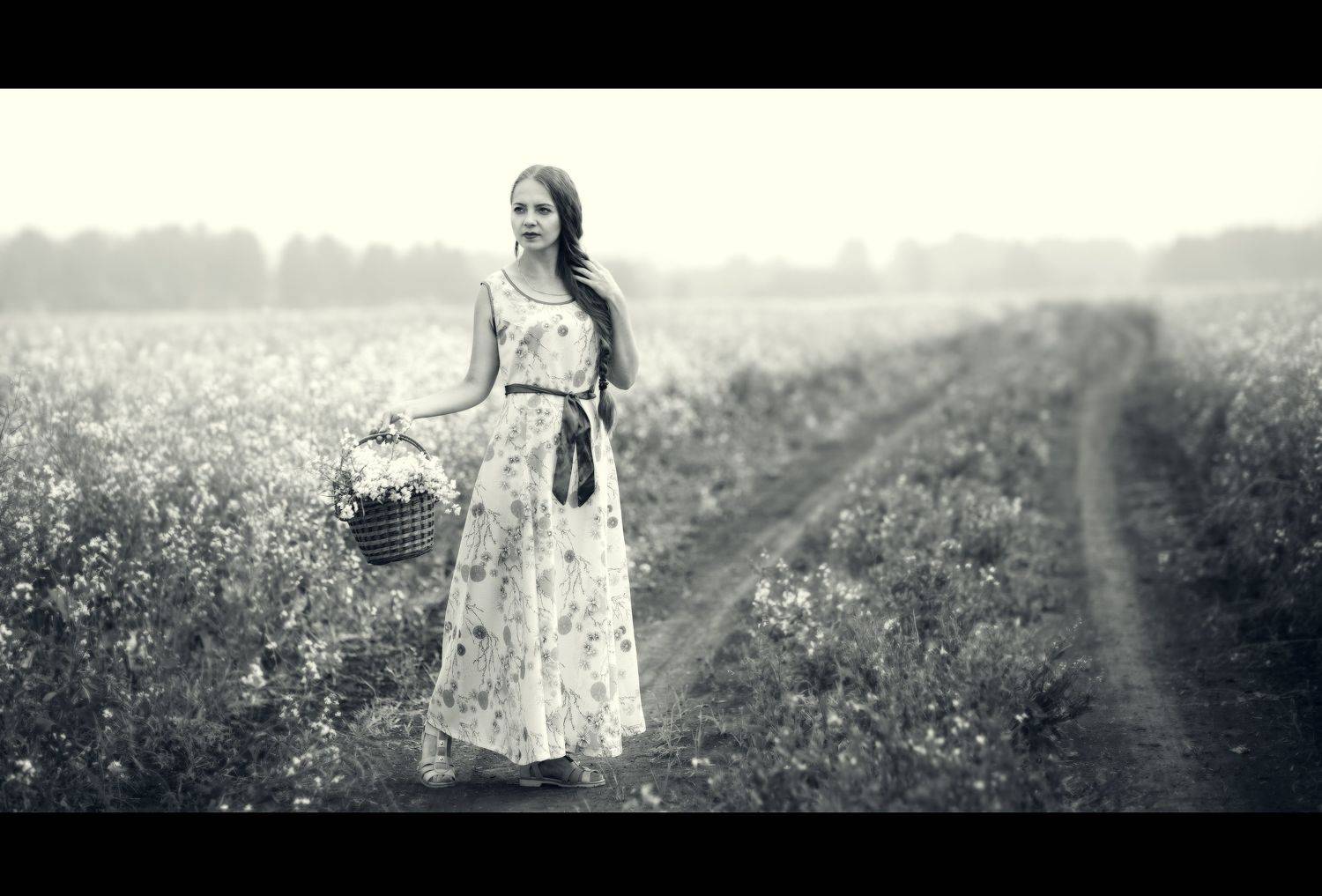девушка, студия, художественное фото, лето, поле, корзинка, цветы, деревня, Ренц Геннадий