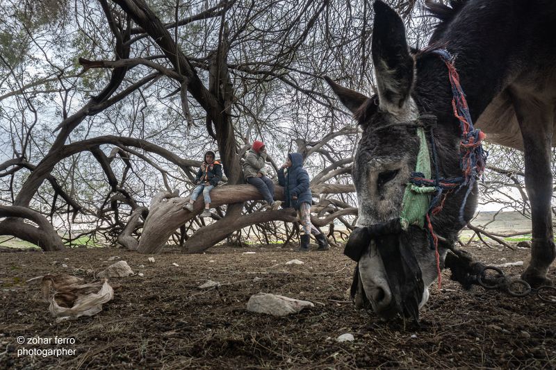 The Bedouin Child Projectphoto preview