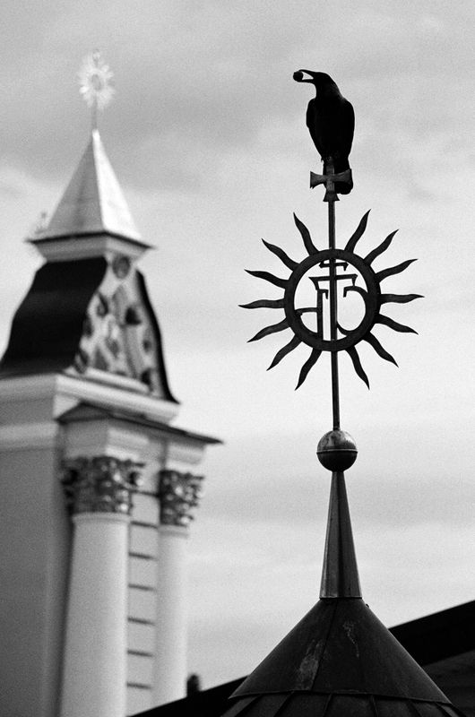 Nevermorephoto preview