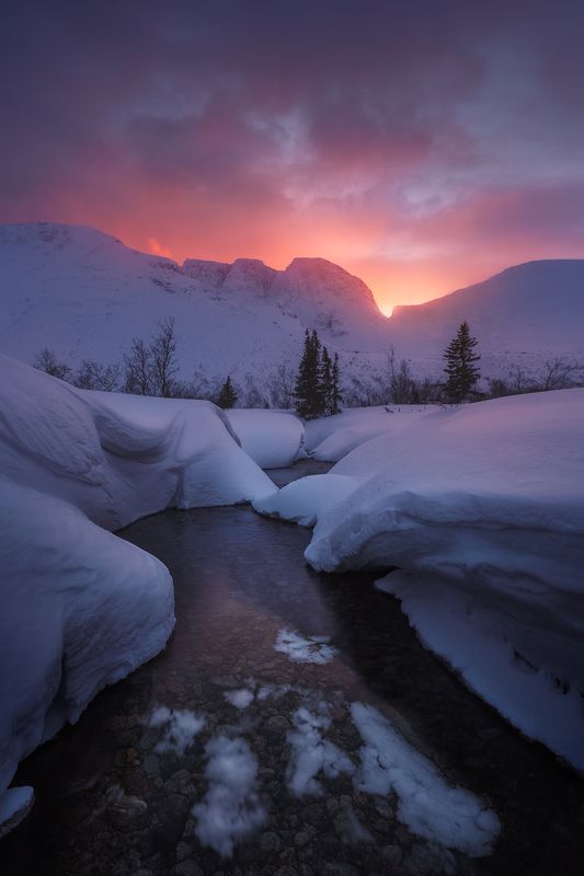 север, кольский, лес, зима, хибины Закат на озере Малый Вудъяврphoto preview
