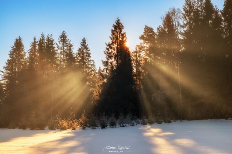 #poland #pentax #benro #lightroom #nikcollection #nature #sunrise #mountains #sky #fog #foggy #morning #pix #trees #sun Laser...photo preview