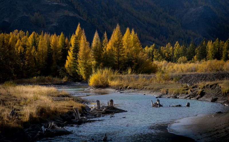 алтай, осень, что такое осень?, фототур на алтай, осень на алтае, республика алтай, долина реки чуи, чуя, золотой алтай нд, золотой алтай, нд Осенняя Чуяphoto preview