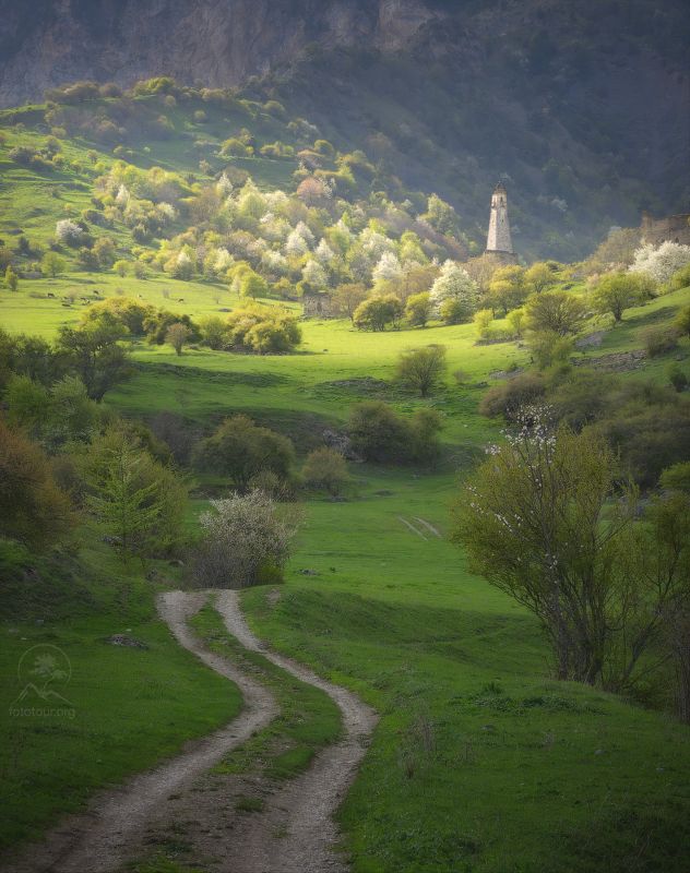 лейми, ингушетия Весенняя Ингушетияphoto preview