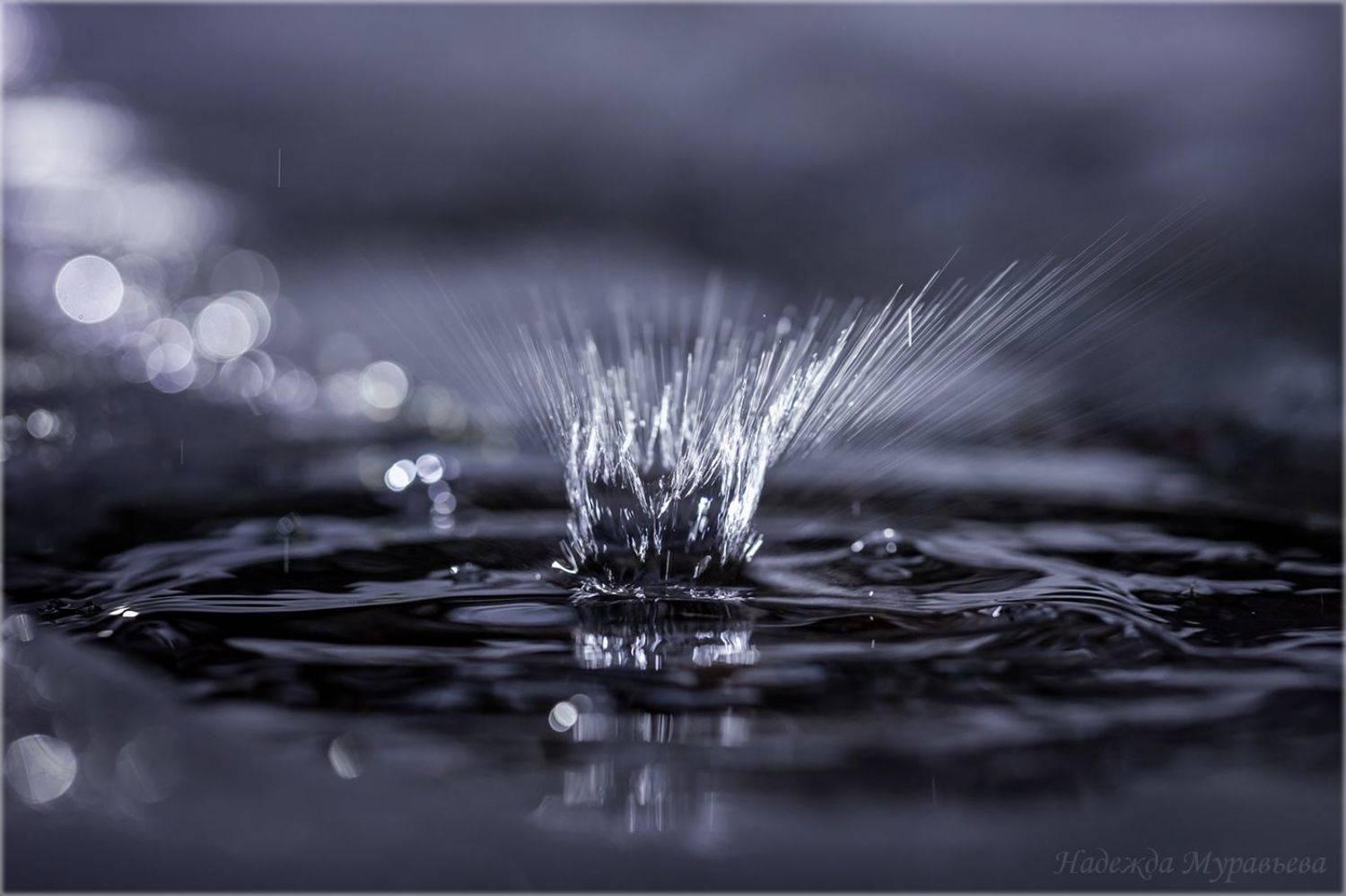 капель,  брызги,  треки,  боке,  весна, Надежда Муравьёва
