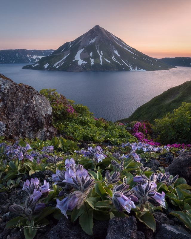 курилы,онекотан,вечер,закат,цветы Цветы Онекотана...photo preview