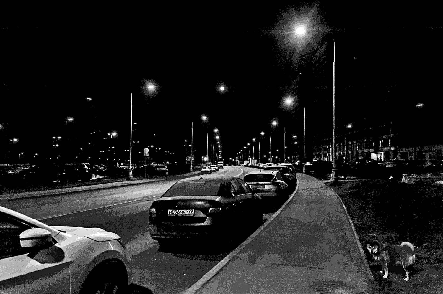 Ночная прогулка. Автор: Валерий , Валерий